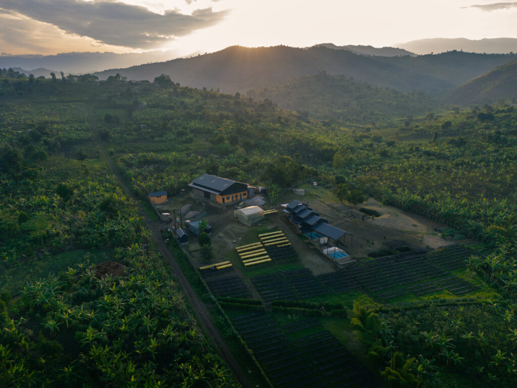 Aerial view of the coffee washing station surrounded by green hills in the Rwenzori mountains, Uganda.